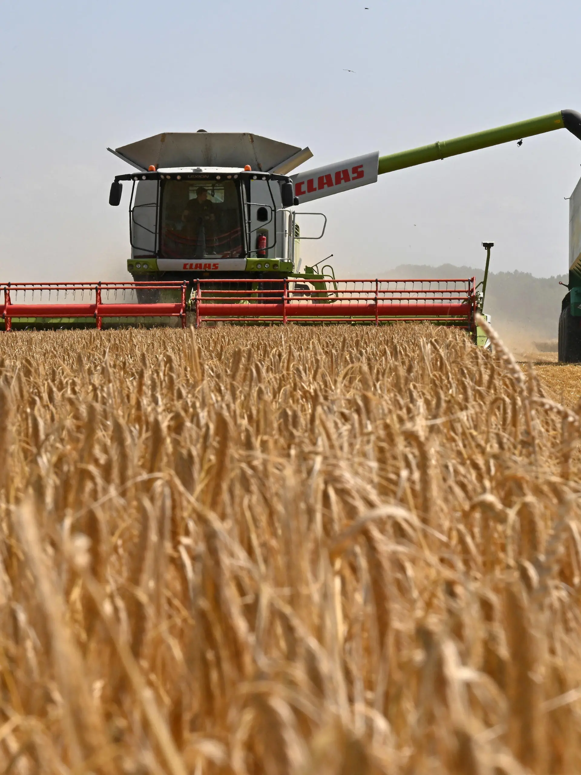 ARCHIV - 04.07.2023, Thüringen, Riethnordhausen: Landwirte ernten Wintergerste mit Mähdreschern auf einem Feld. Die Erzeugerpreise für landwirtschaftliche Produkte sind im Juni das dritte Mal in Folge im Vorjahresvergleich gesunken.  Vor allem bei Getreide gab es einen deutlichen Rückgang (zu dpa «Landwirtschaftliche Erzeugerpreise weiter rückläufig»). Foto: Martin Schutt/dpa +++ dpa-Bildfunk +++