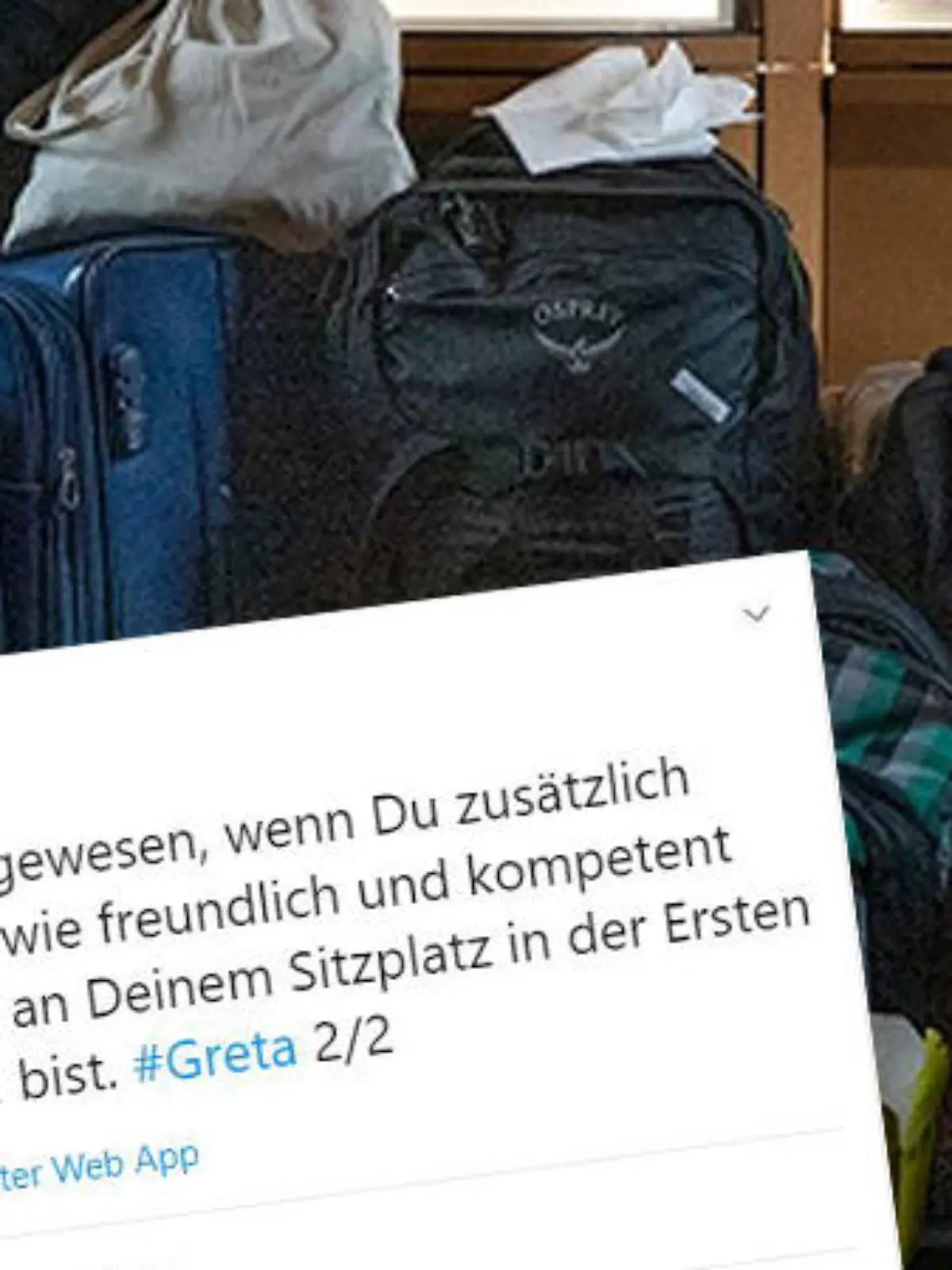 Greta Thunberg in der Bahn