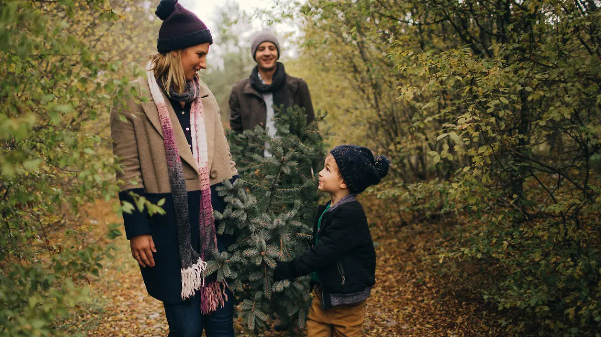 Junge Familie holt Weihnachtsbaum im Wald
