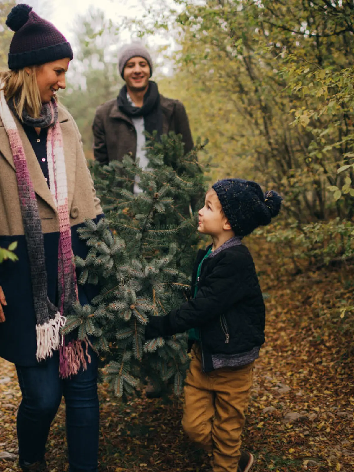 Junge Familie holt Weihnachtsbaum im Wald