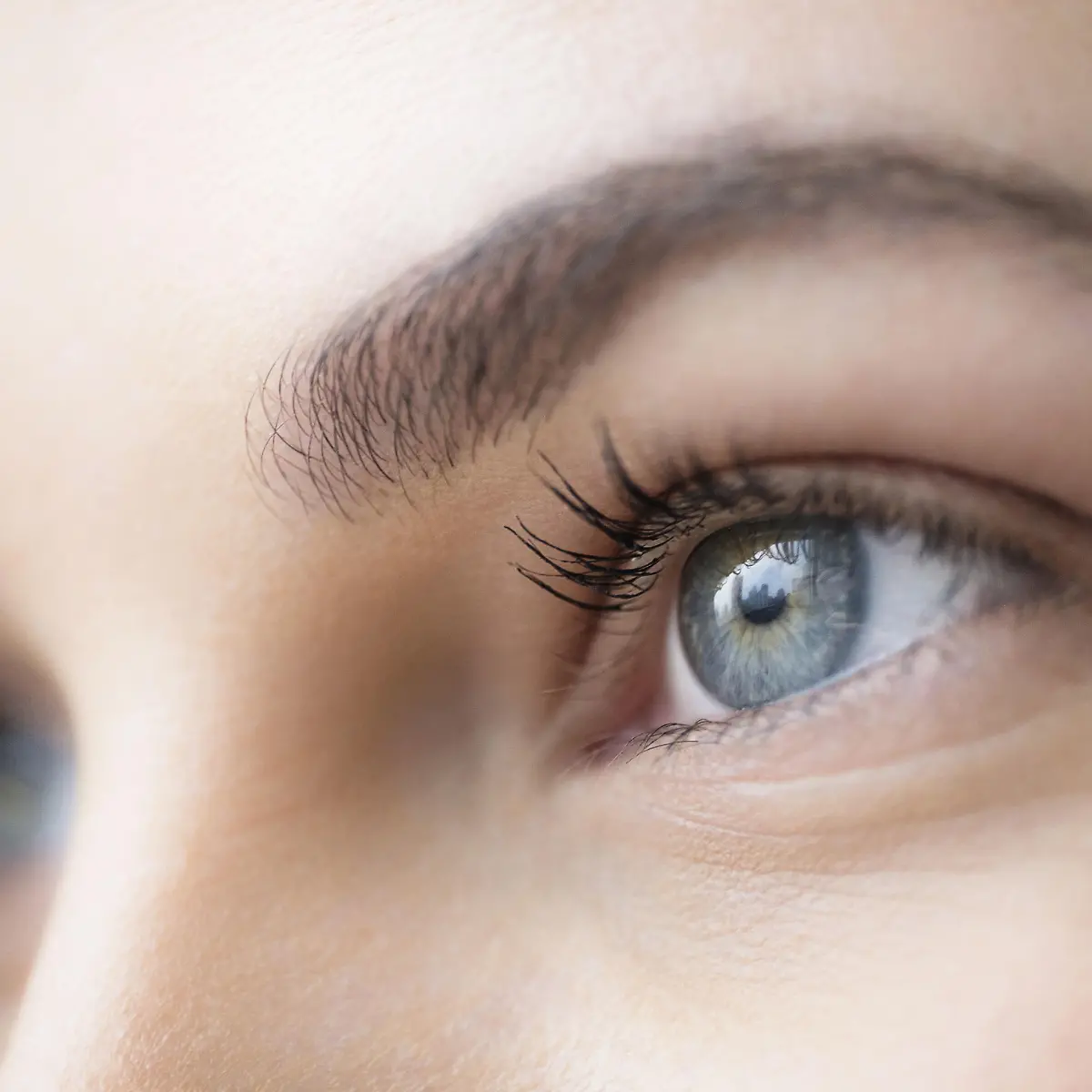 Optikusatrophie Logo von Optikusatrophie