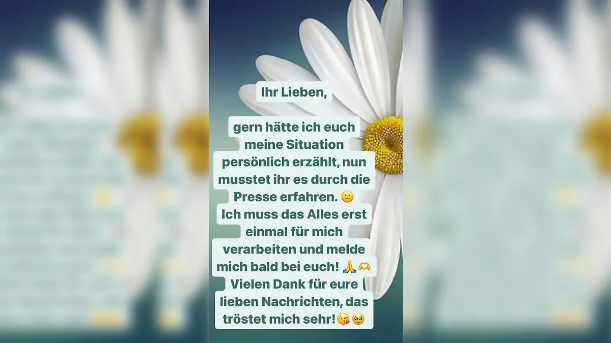 Renata Lusin hat sich derweil über Instagram bei ihren Fans gemeldet