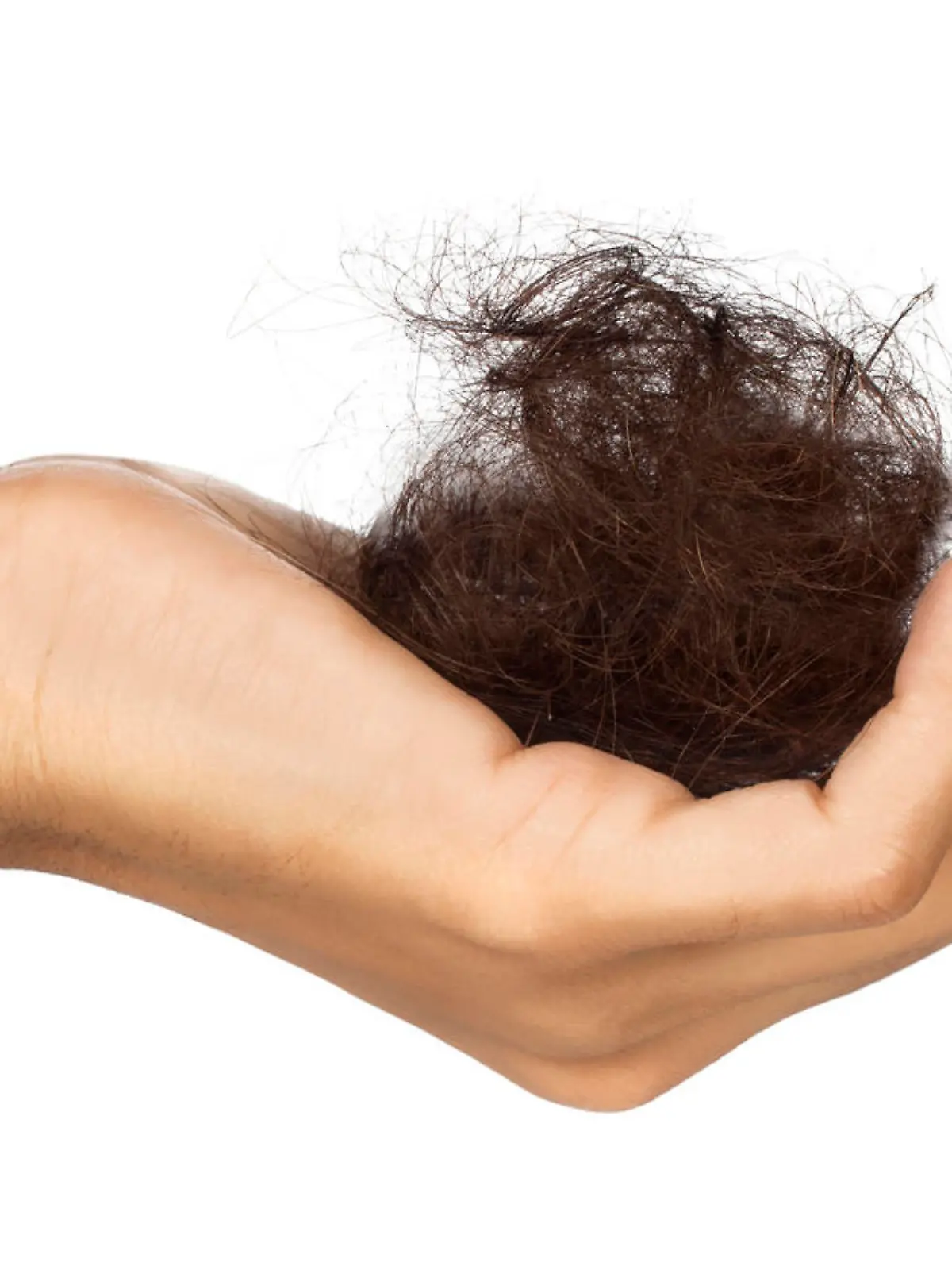Weibliche Hand hält einen großen dunklen Haarballen