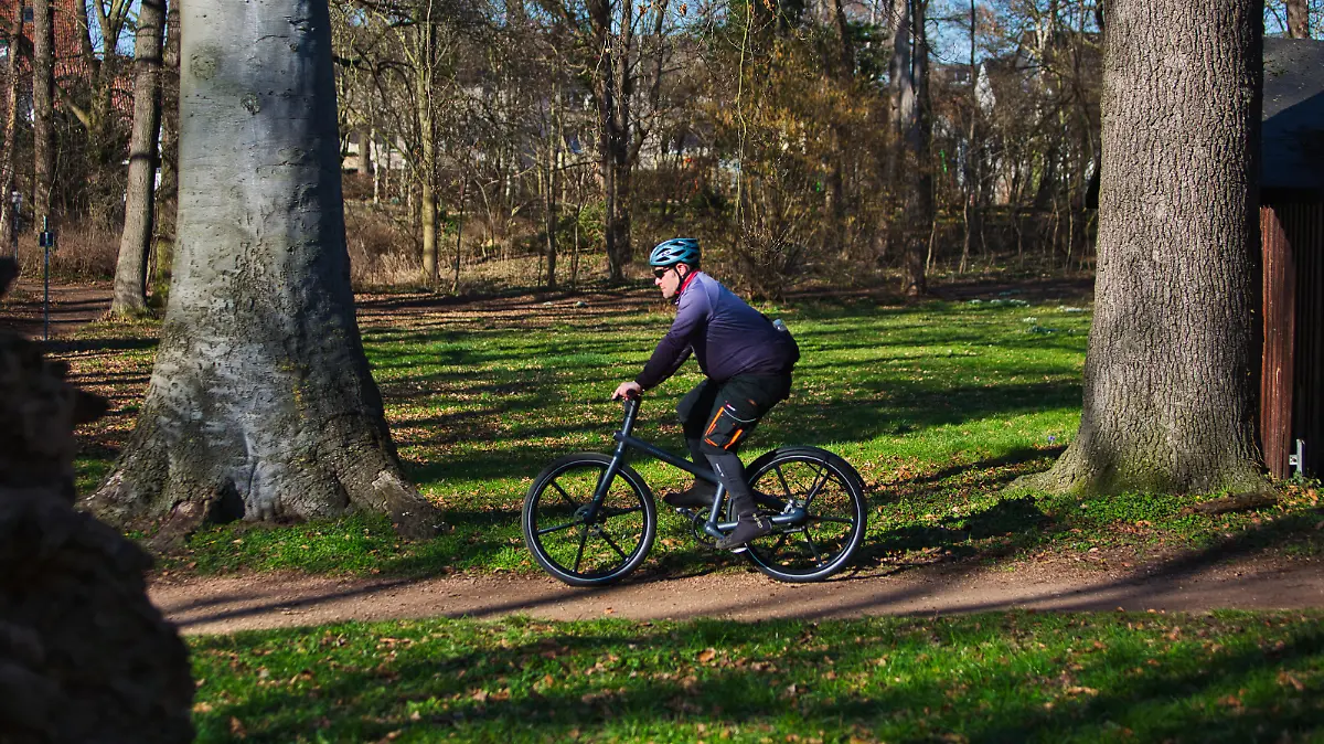 RTL-Test-E-Bike-Honbike-14-Torsten-Rabe MGL8704