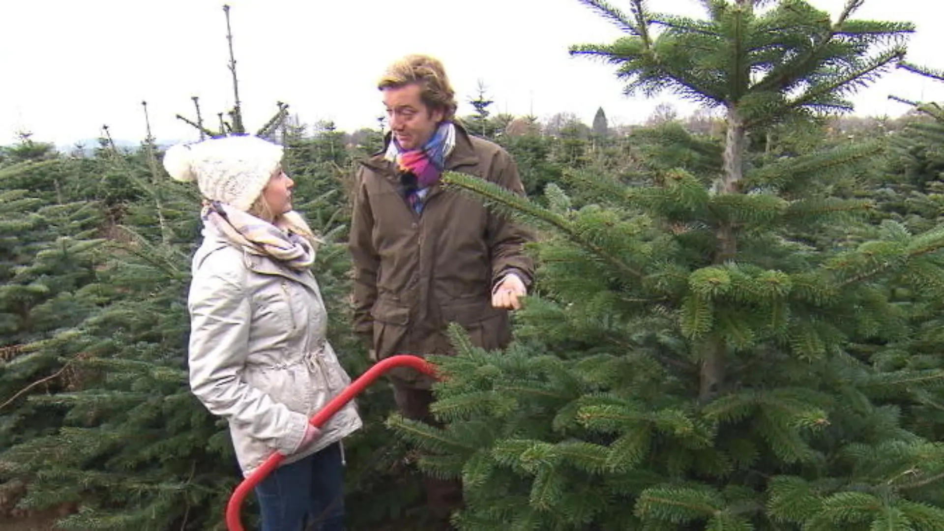 Darauf sollten Sie beim Weihnachtsbaumkauf achten Die besten Tipps von Experten