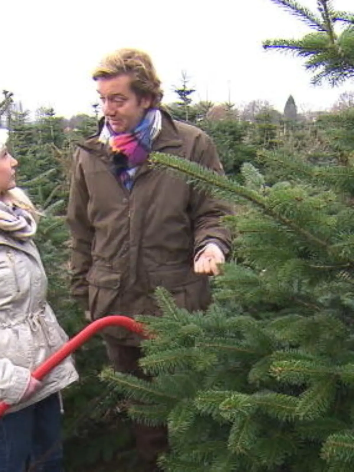 Bild zu: "Darauf sollten Sie beim Weihnachtsbaumkauf achten"