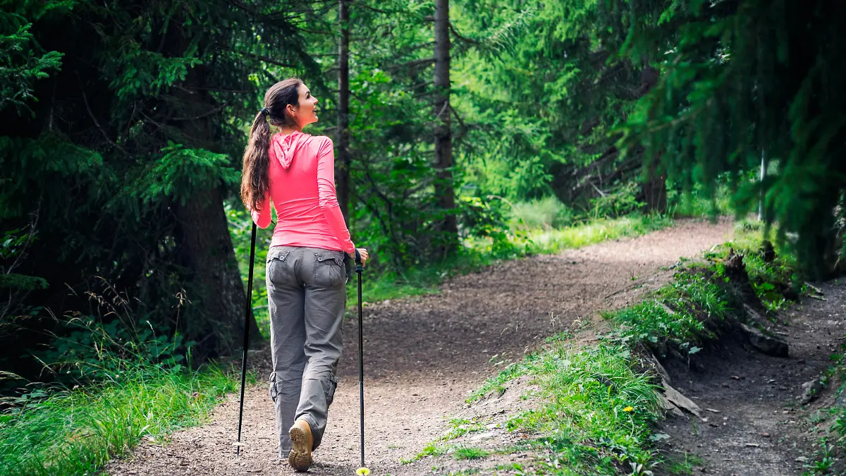 While the rest of the world is busy, a woman is enjoying the silence in the forest. Shot in Valais, Switzerland.