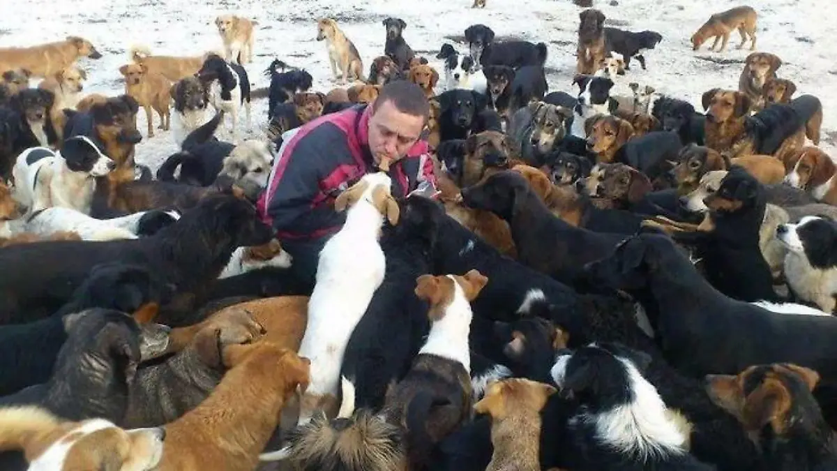 1.200 Hunde hat Sasha gerettet und aufgenommen.