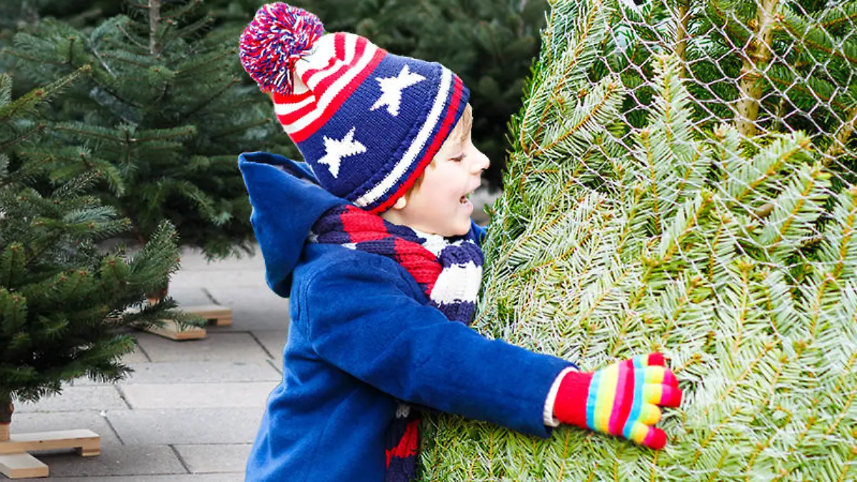 Die Freude über den Weihnachtsbaum ist bei diesem Jungen groß.