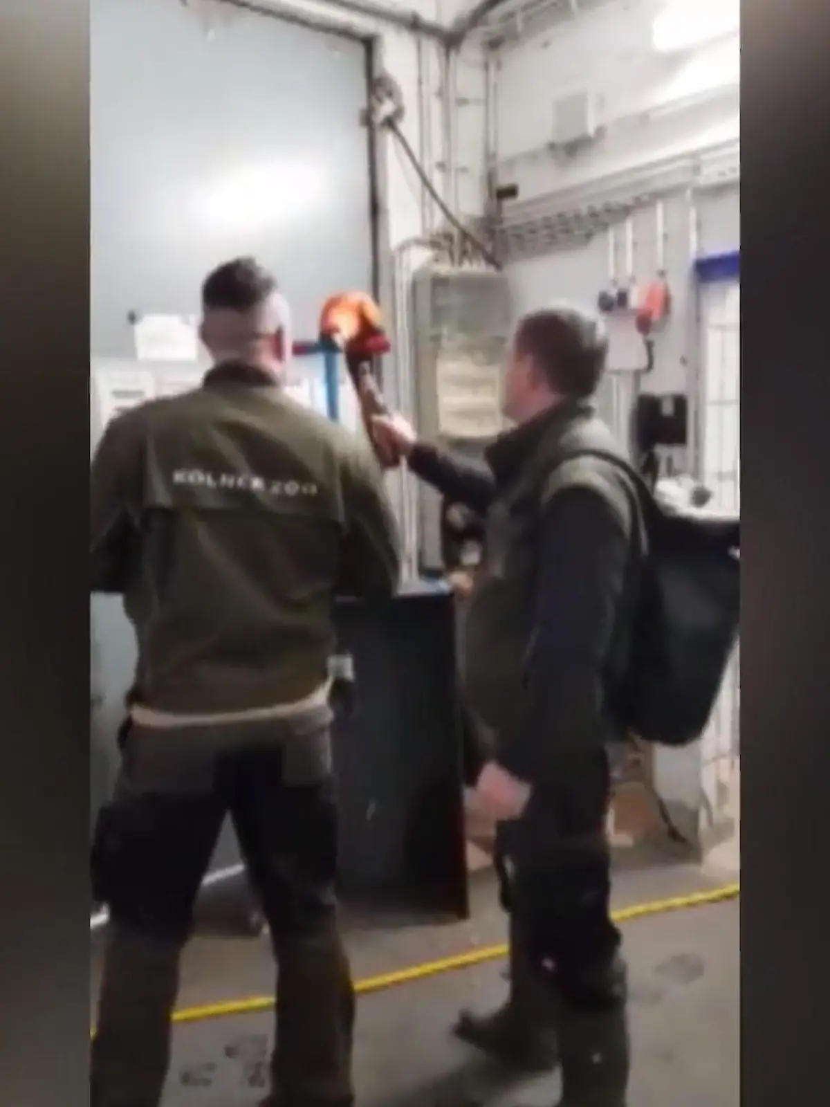 Bild zu: "Papagei öffnet Bier mit dem Schnabel"