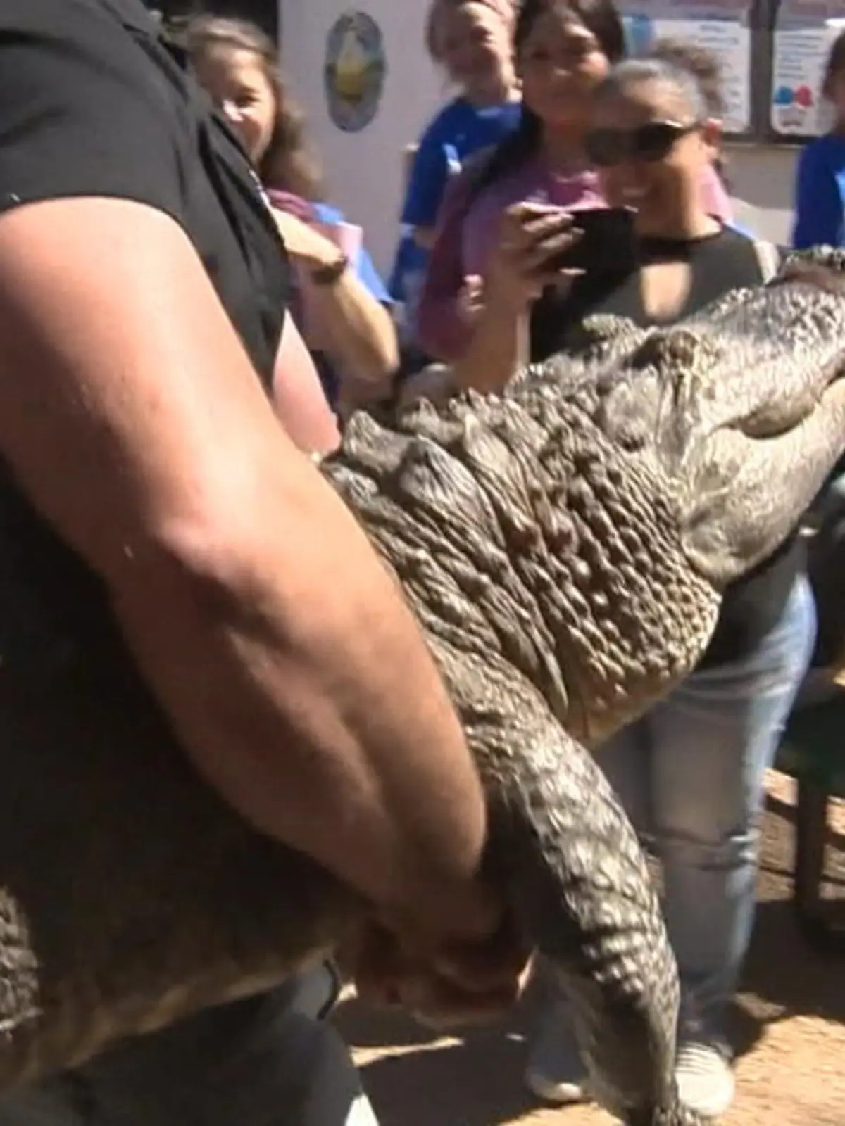 In Texas hat sich eine ehemalige Zoo-Praktikantin heimlich ein Alligatoren-Ei mitgenommen. Nun musste die Jagdaufseherin das Tier aber wieder mitnehmen, weil sie nicht die Auflagen erfüllt, um ein so großes Reptil bei sich halten zu können.