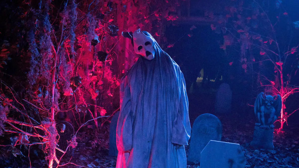 Von lustig bis schaurig: Diese Filme sind zu Halloween Pflicht