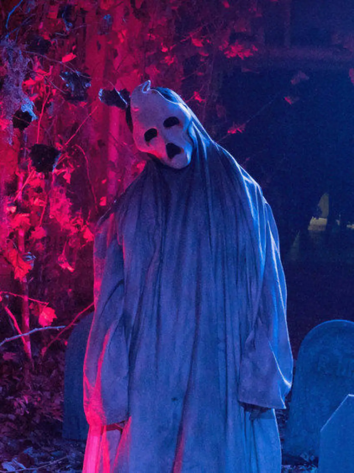 Von lustig bis schaurig: Diese Filme sind zu Halloween Pflicht