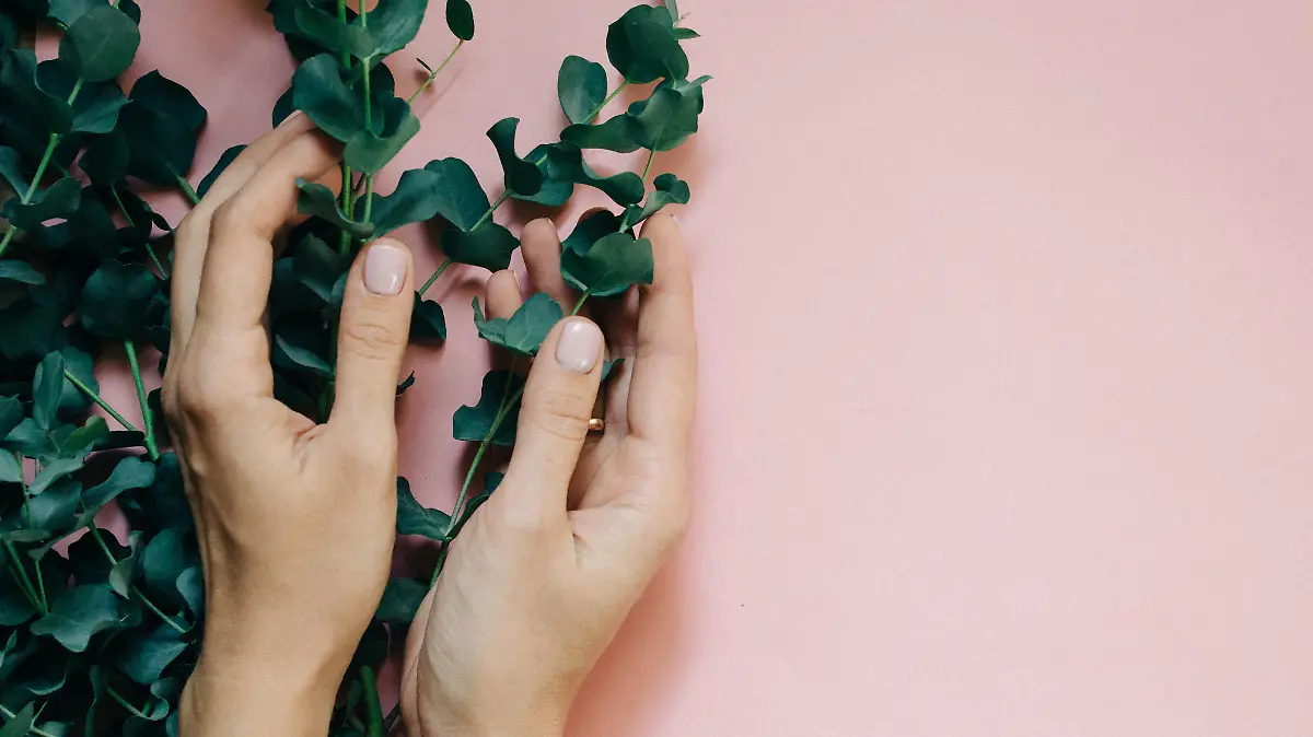 Frau hält Eukalyptus-Zweige in der Hand.