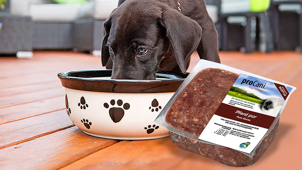 Bei „proCani Pferd pur 400g – Pure Horse“ besteht Salmonellen-Gefahr.