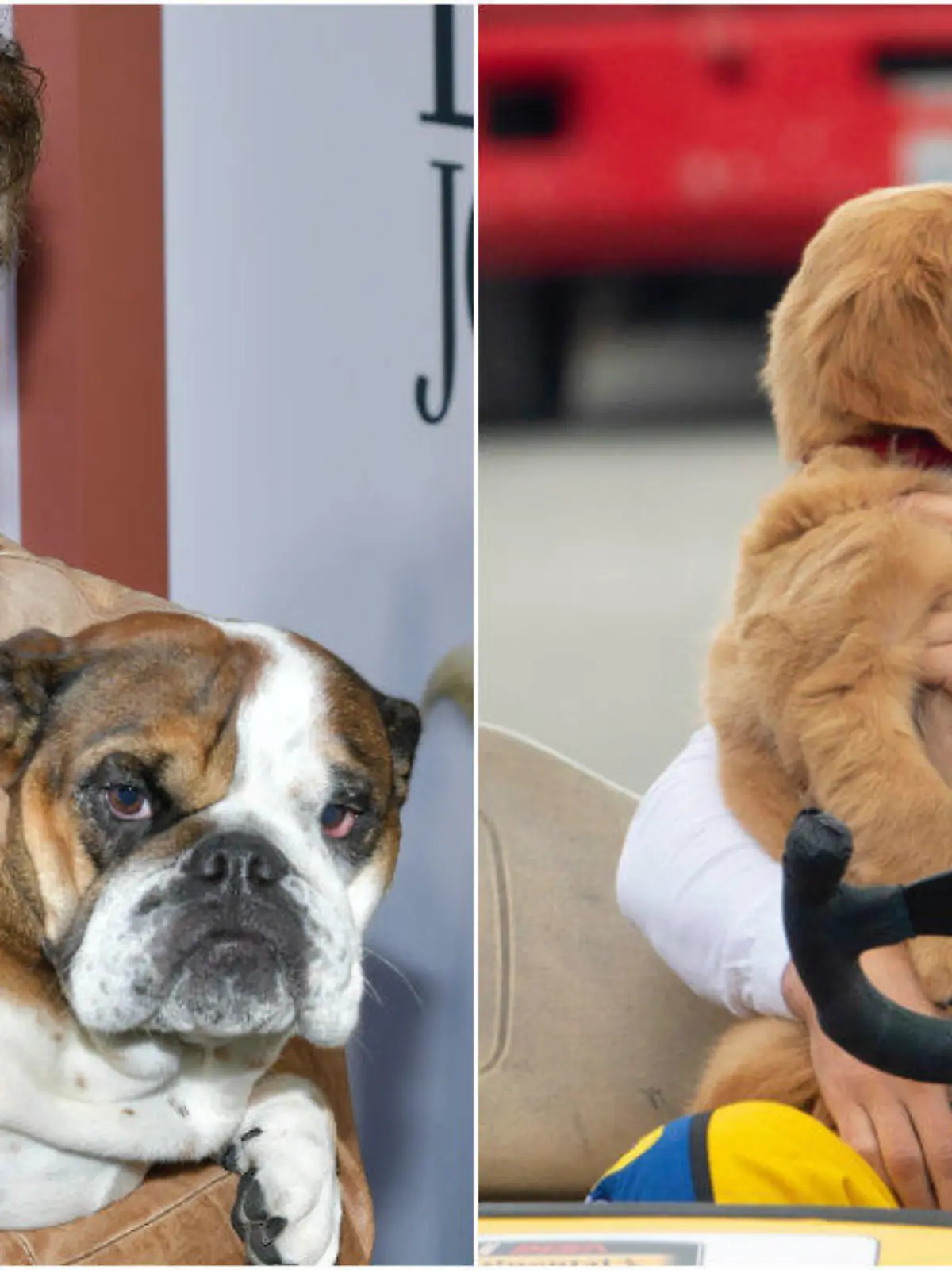 Dennis Quaid und Milo ventimiglia
