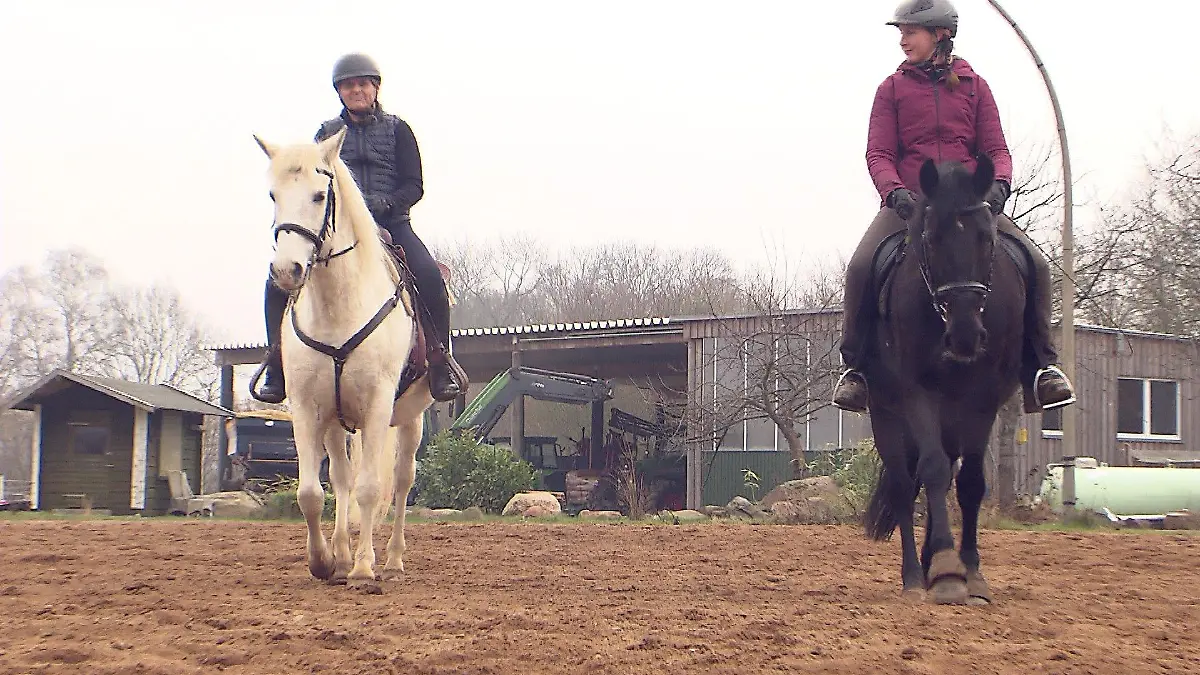 RTL hat Wolfgang Bahro beim Reittraining in Bad Segeberg begleitet.