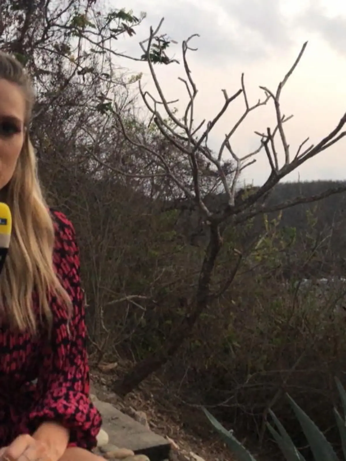 Bild zu: "Das sagt Moderatorin Vanessa Meisinger"