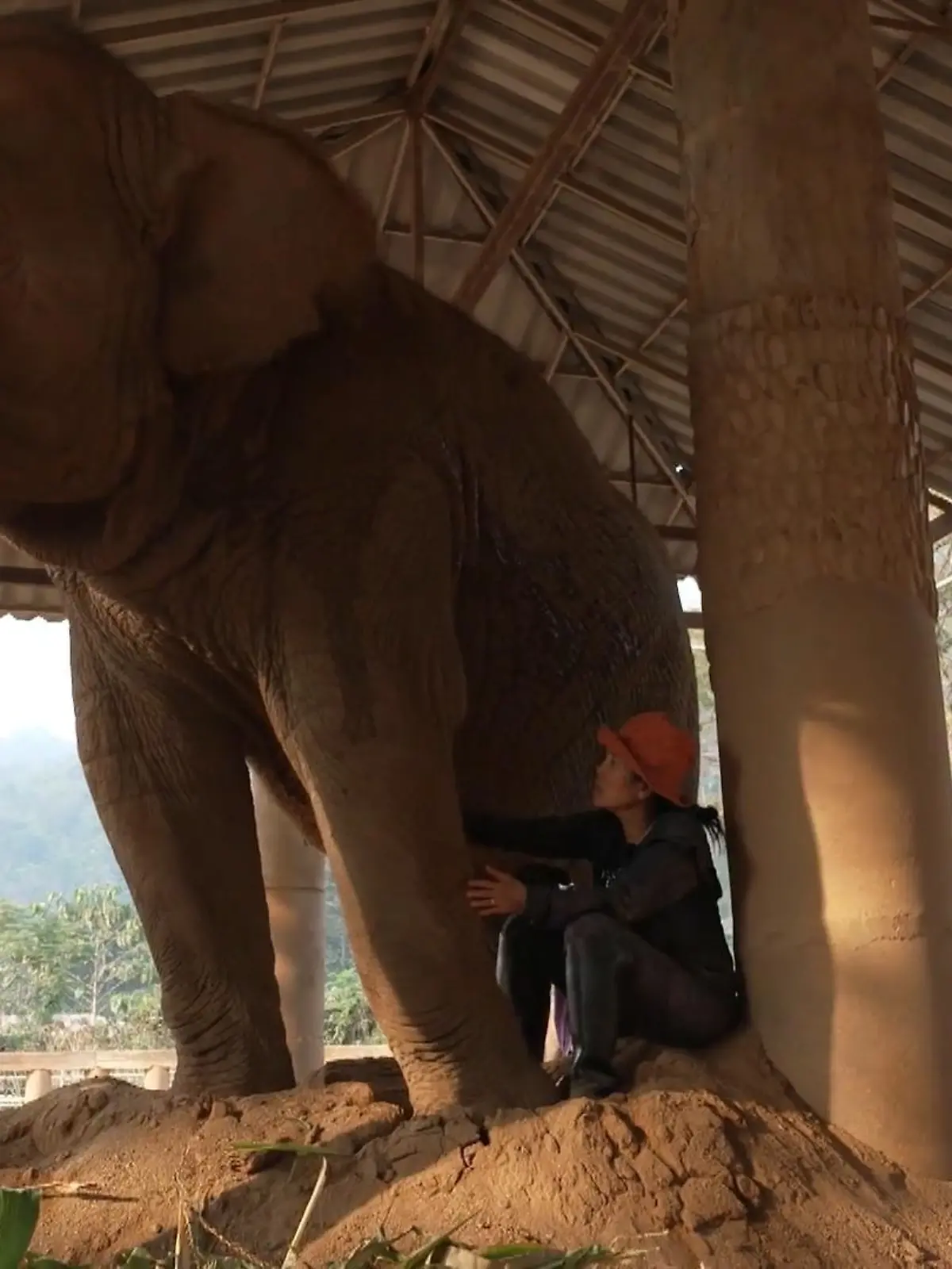 Es sind schockierende Bilder aus einem Tourismus-Elefantenpark in Thailand. Doch eine Tierschützerin setzt sich für die Dickhäuter ein und riskiert damit sogar ihr Leben! RTL Reporter Philipp Cerfontaine macht sich auf den Weg zu den Elefanten und ist schockiert von den furchtbaren Tourismusangeboten vor Ort.