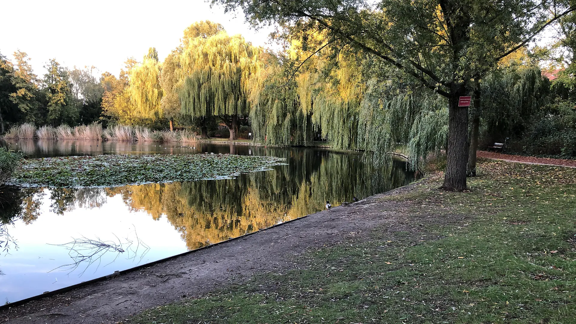 Dorfteich Lichterfelde