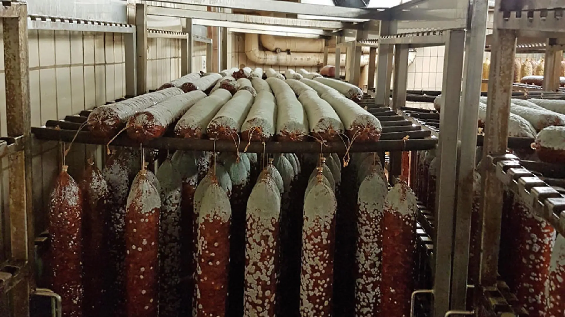 Schimmel, wilke, wurst