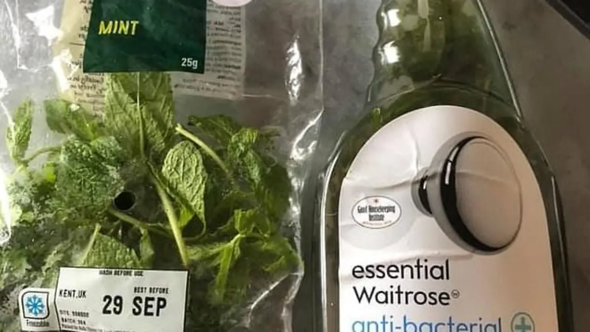 Das Wundermittel aus Minze und Desinfektionsmittel soll Spinnen vertreiben.