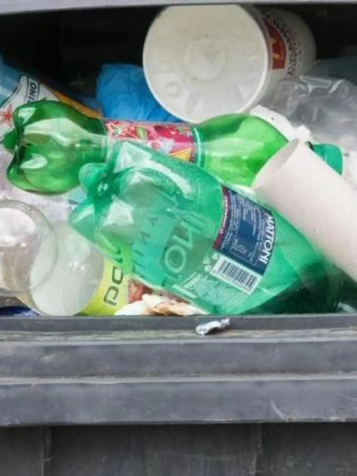 Plastikflaschen liegen in einer überfüllten Mülltonne. Foto: Armin Weigel