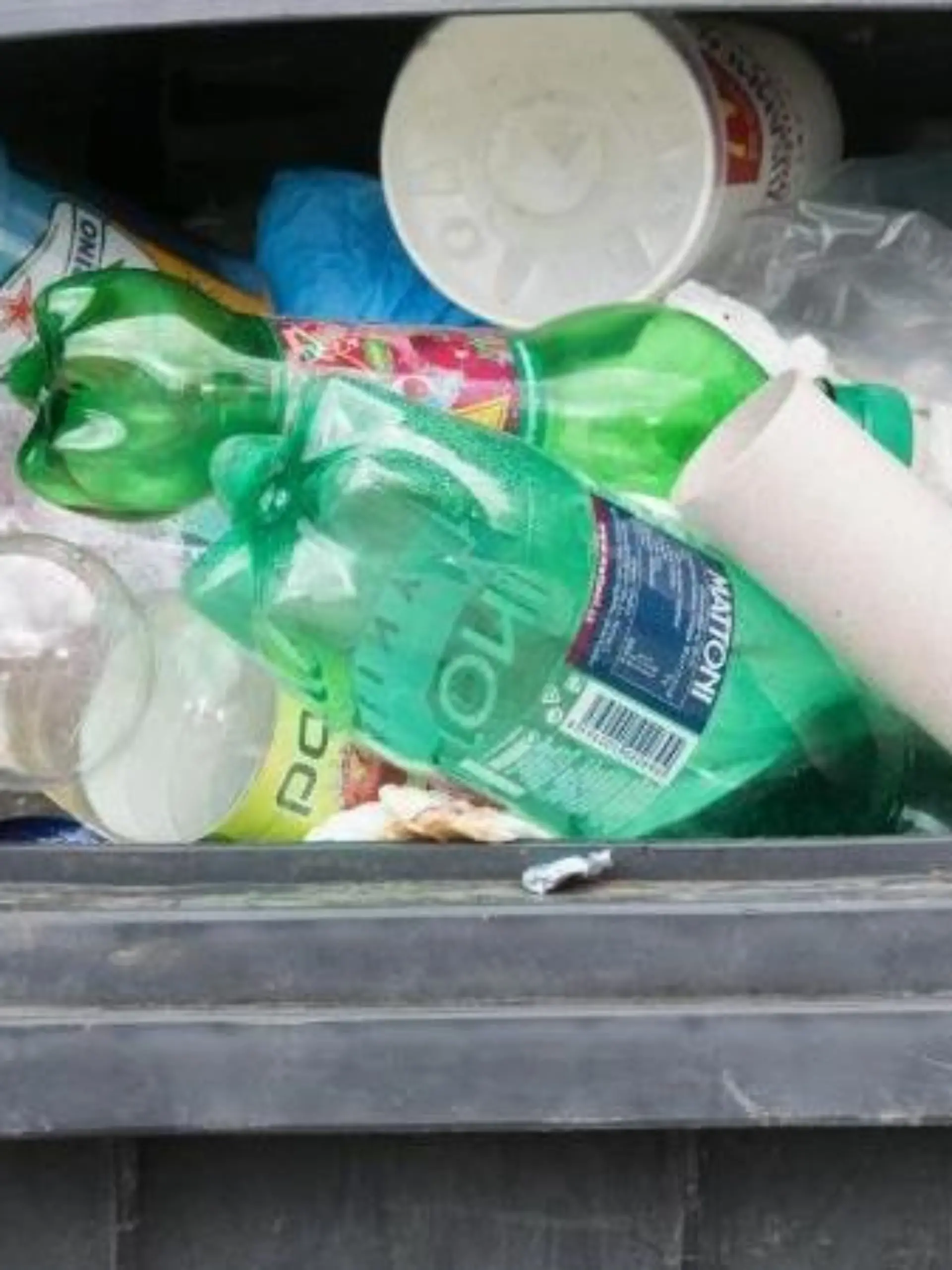 Plastikflaschen liegen in einer überfüllten Mülltonne. Foto: Armin Weigel