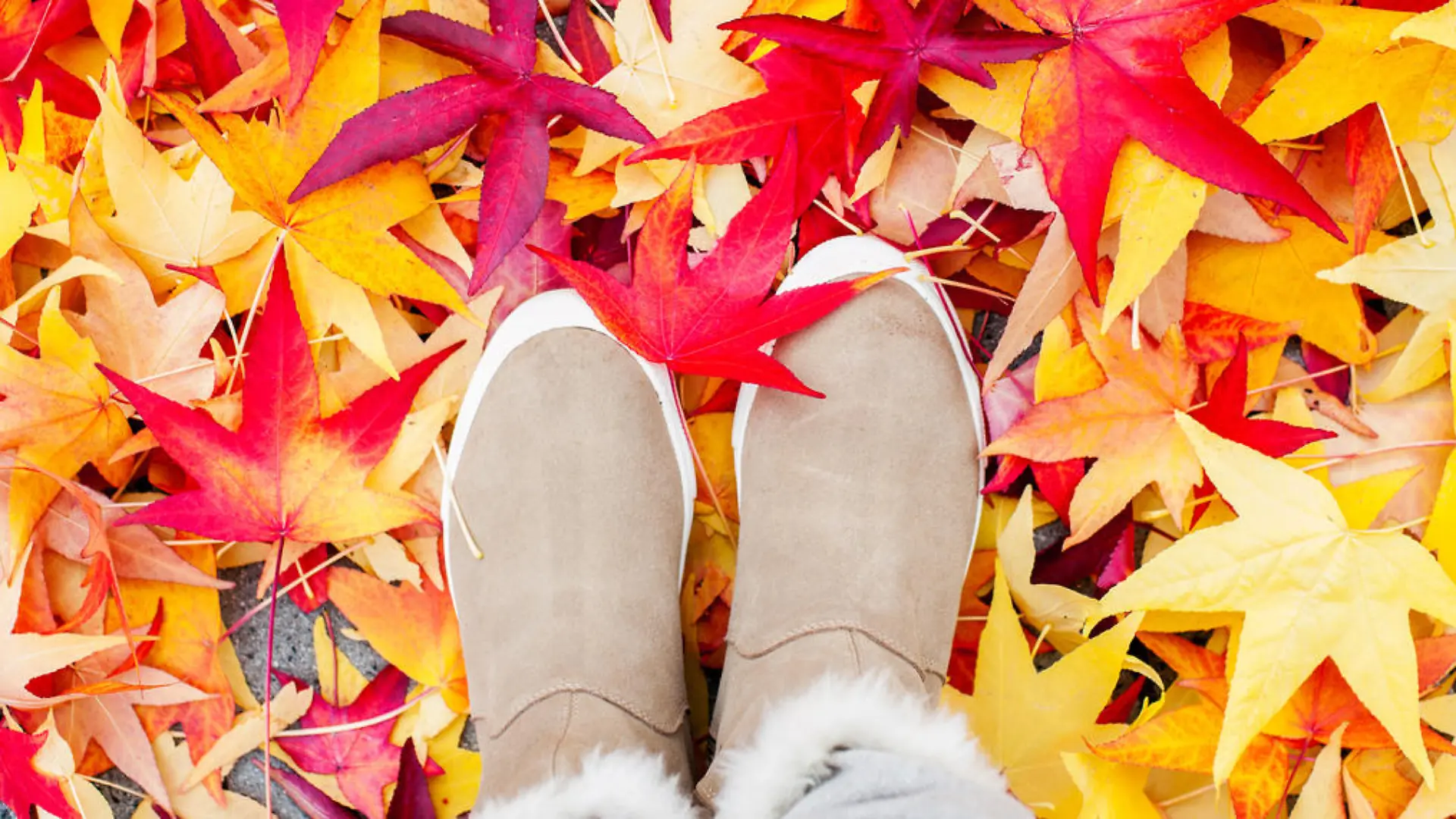 Frau trägt Ugg-Boots