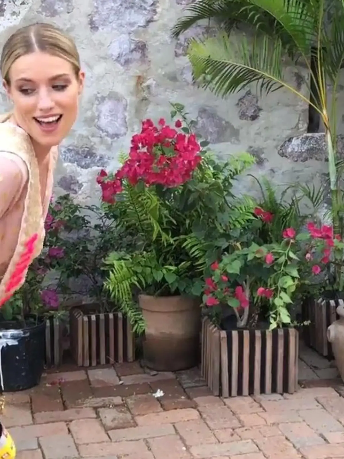 Bild zu: "So funktioniert die "Miss Paradise Wahl""