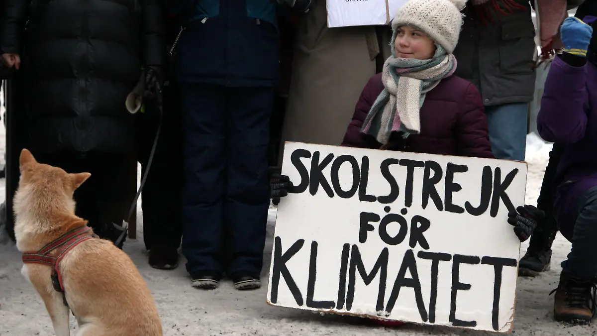01.02.2019, Schweden, Stockholm: Die 16-jährige Schwedin Greta Thunberg demonstriert vor dem Reichstag in Stockholm für mehr Klimaschutz mit einem Plakat "skolstrejk for klimatet" (Schulstreik für das Klima). (zu dpa-Story - Jugendproteste vom 07.02.2019) Foto: Steffen Trumpf/dpa +++ dpa-Bildfunk +++