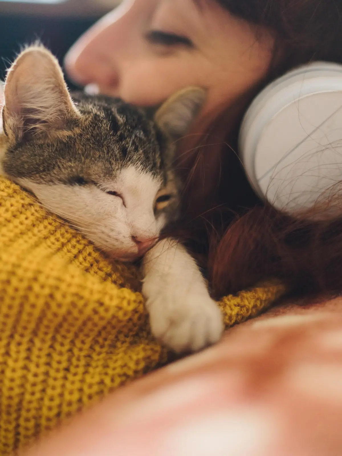 Frau schmust mit Katze