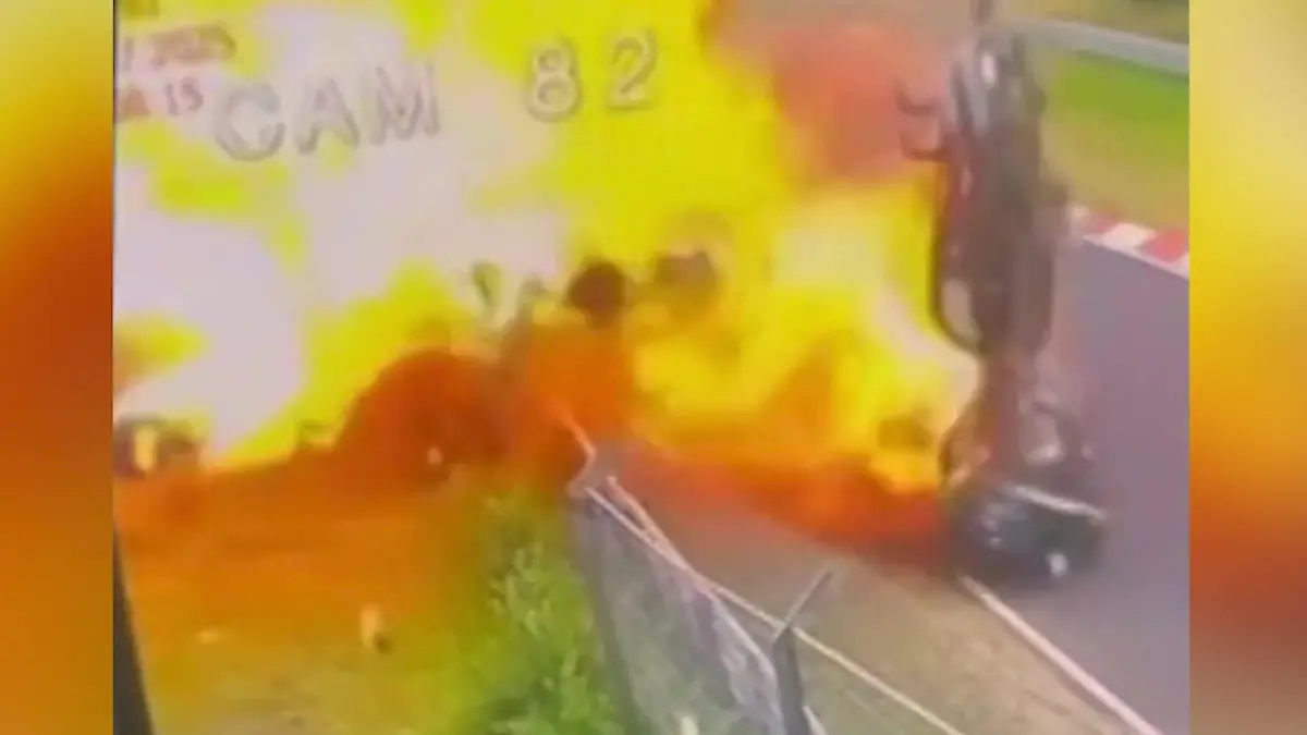 Riemenfisch angespült – jetzt befürchten viele eine Katastrophe