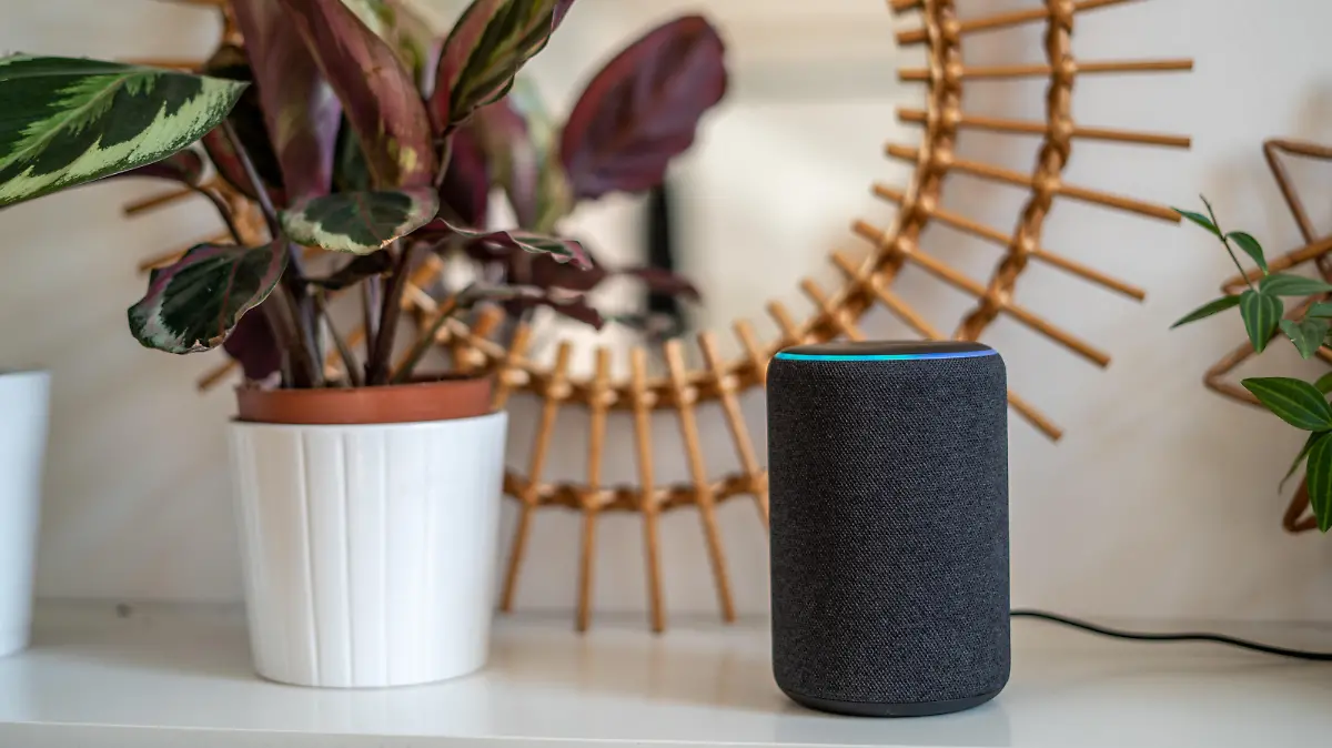 Amazon Alexa Echo