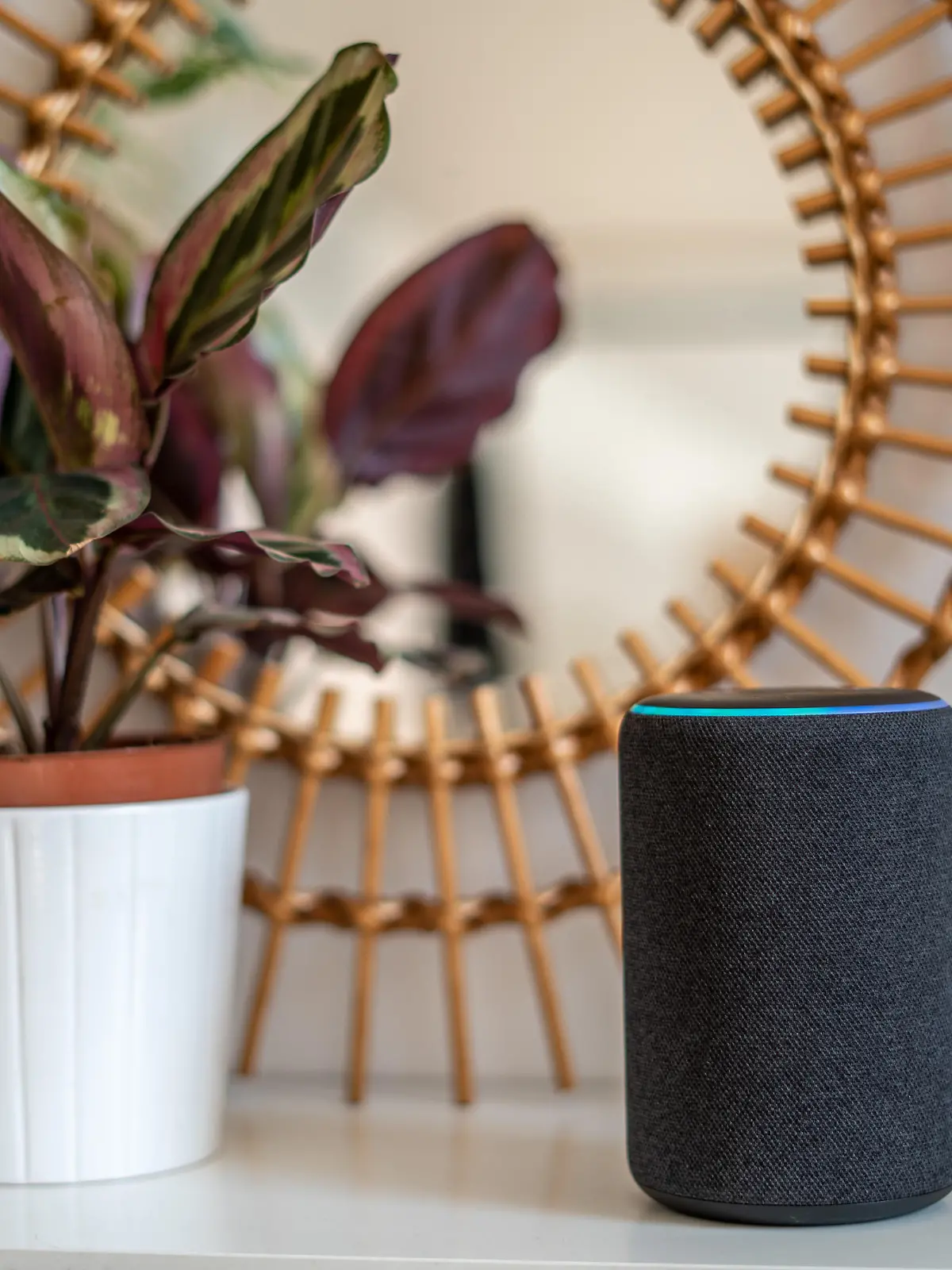 Amazon Alexa Echo
