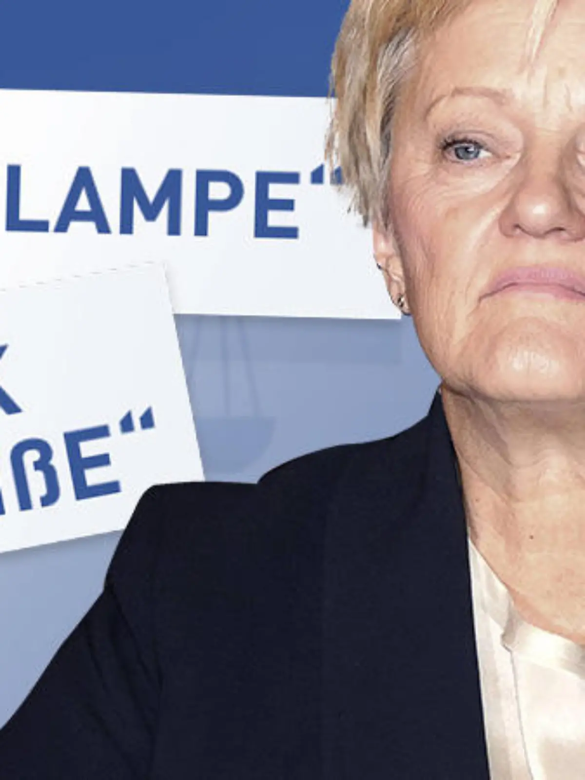 Bundestagsabgeordnete Renate Künast darf nach einem Gerichtsurteil in sozialen Medien beleidigt werden.