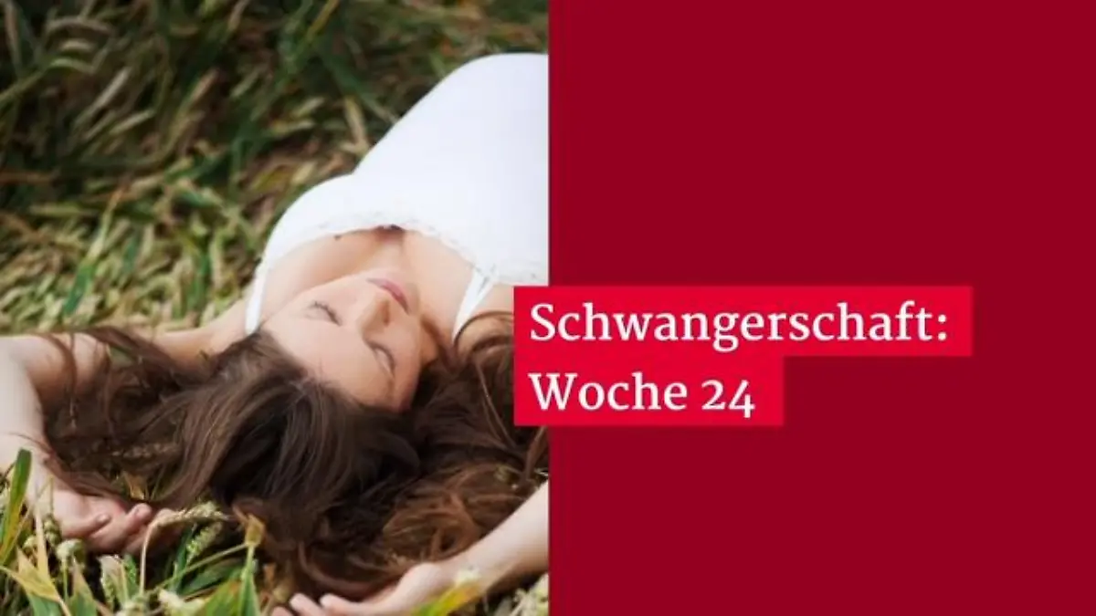 So weit ist das Baby in SSW 24 24. Schwangerschaftswoche