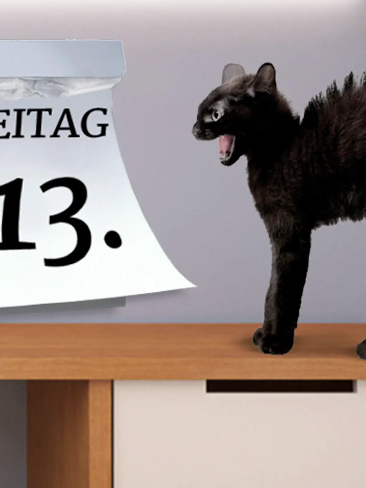 Freitag, der 13. mit schwarzer Katze