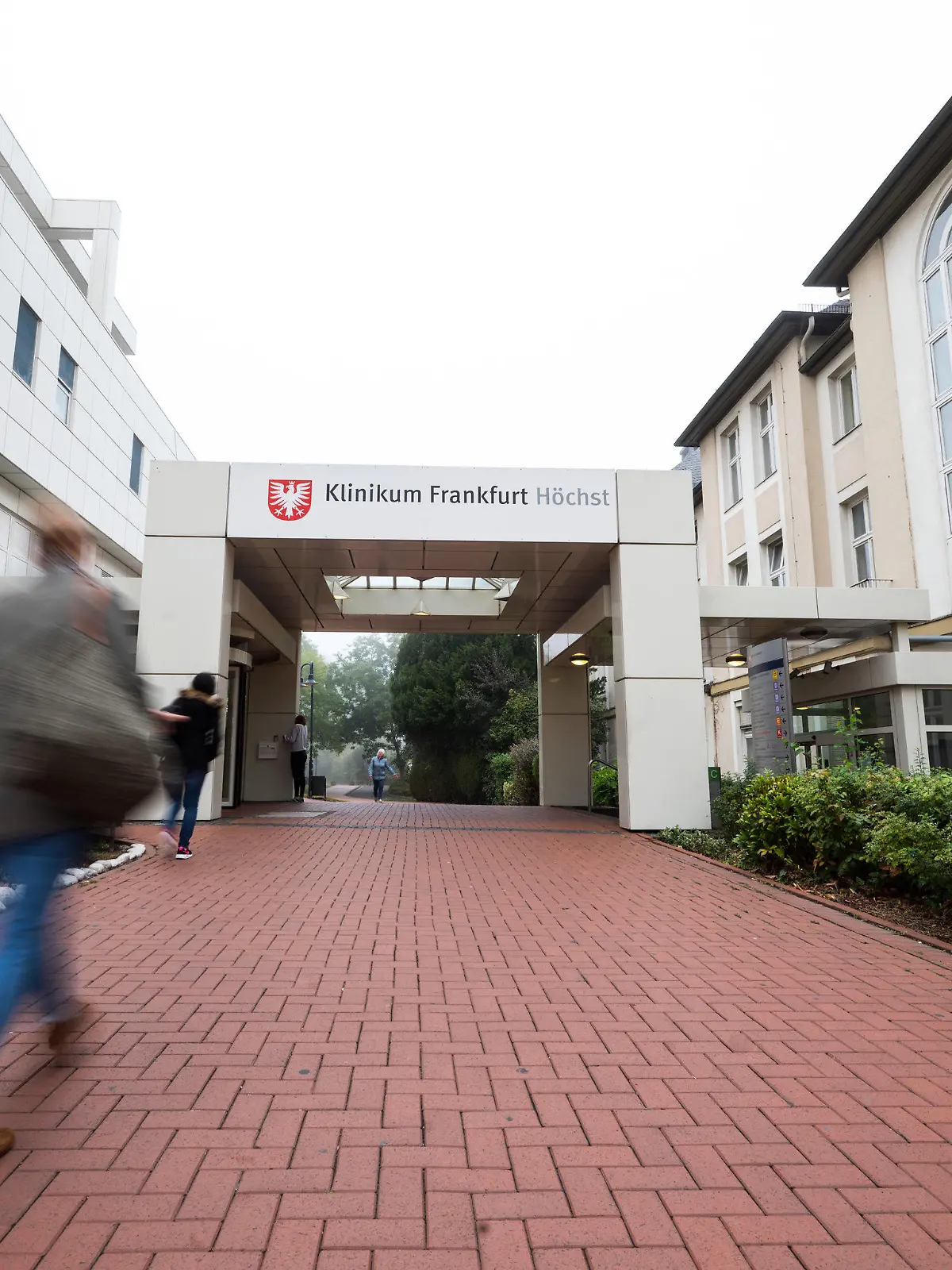 10.09.2019, Hessen, Frankfurt/Main: Zwei Menschen gehen zum Haupteingang des Klinikums Frankfurt-Höchst. Der Sozialminister von Hessen informiert in einer Pressekonferenz zum Stand der Aufklärungsarbeit bezüglich der Zustände in der Psychiatrie des Klinikums Frankfurt-Höchst. Eine verdeckt aufgenommene TV-Reportage hatte im März Missstände in der Abteilung aufgedeckt. Foto: Andreas Arnold/dpa +++ dpa-Bildfunk +++