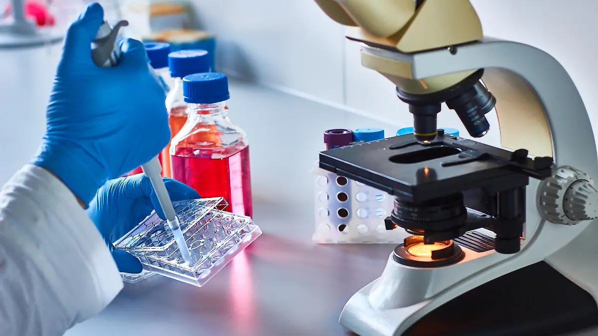 Diese Therapiemethode setzt Stammzellen ein, um andere Zellen zu reparieren