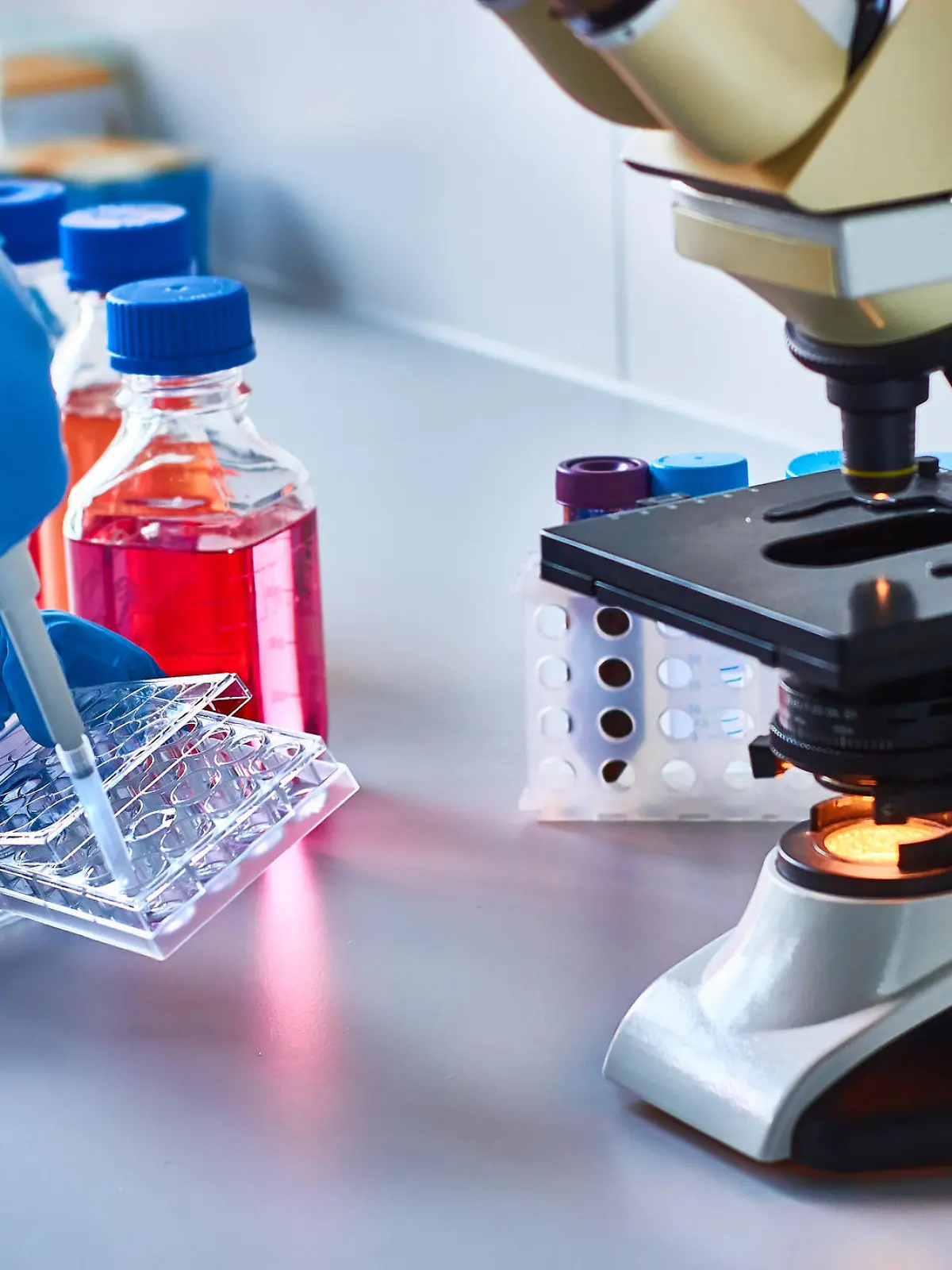 Diese Therapiemethode setzt Stammzellen ein, um andere Zellen zu reparieren