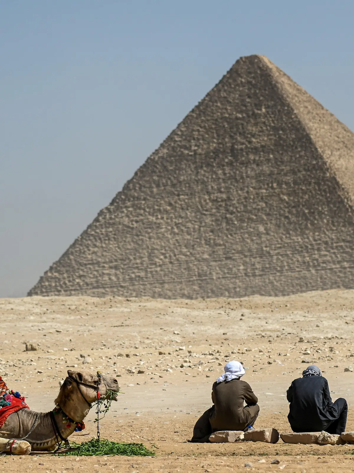 dpatopbilder - 02.03.2023, Ägypten, Gizeh: Ein Kamel und seine Reiter rasten vor der Großen Pyramide von Gizeh. Ein internationales Forschungsteam hat in der berühmten ägyptischen Cheops-Pyramide von Gizeh eine bisher unbekannte Kammer nachgewiesen. Foto: Sayed Hassan/dpa +++ dpa-Bildfunk +++