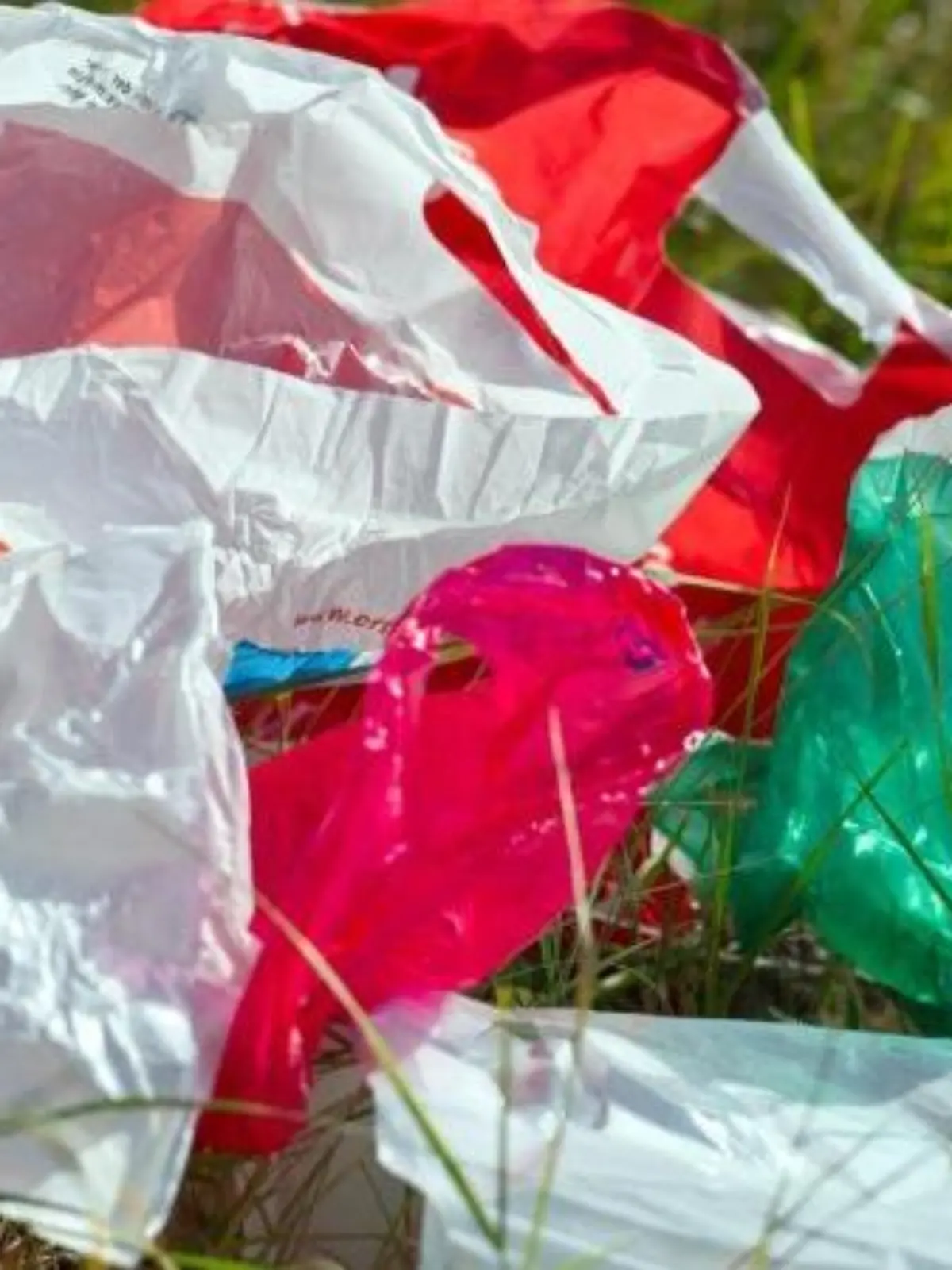 Weggeworfene Plastiktüten auf einer Wiese. Der niedrige Ölpreis macht den Plastik-Entsorgern zu schaffen. Foto: Patrick Pleul
