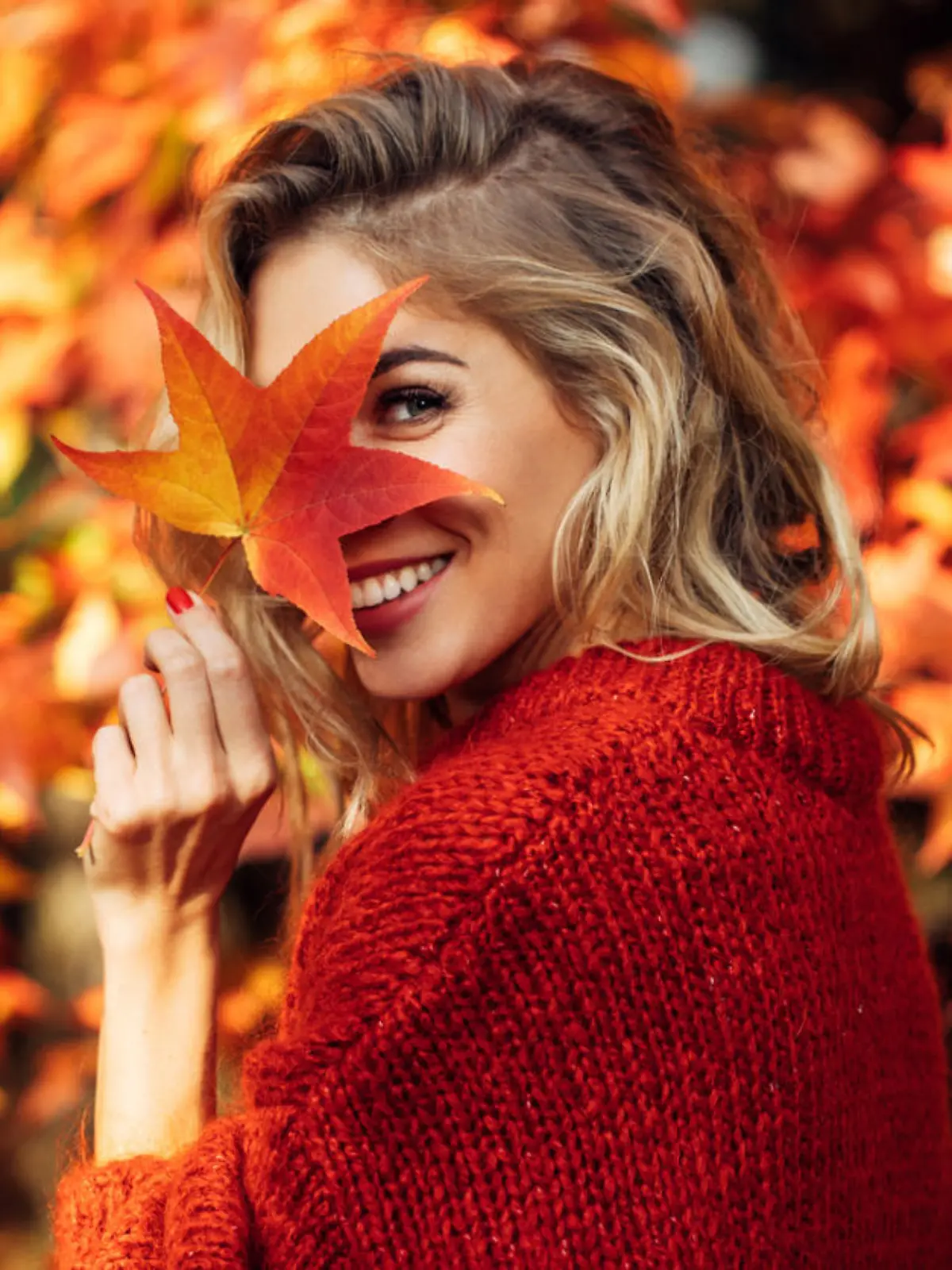 Herbst schönste Jahreszeit