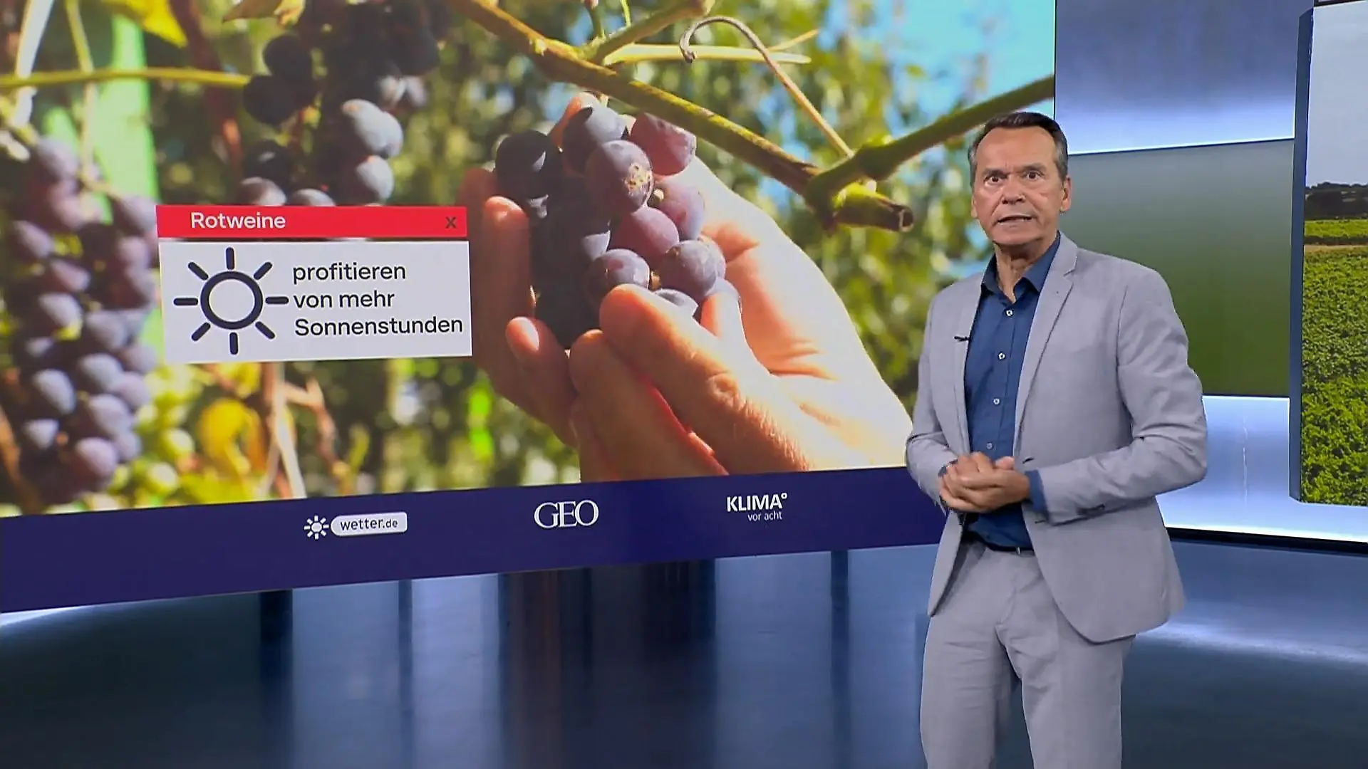 Klimawandel bringt den deutschen Winzern Probleme Unterschiedliche Auswirkungen