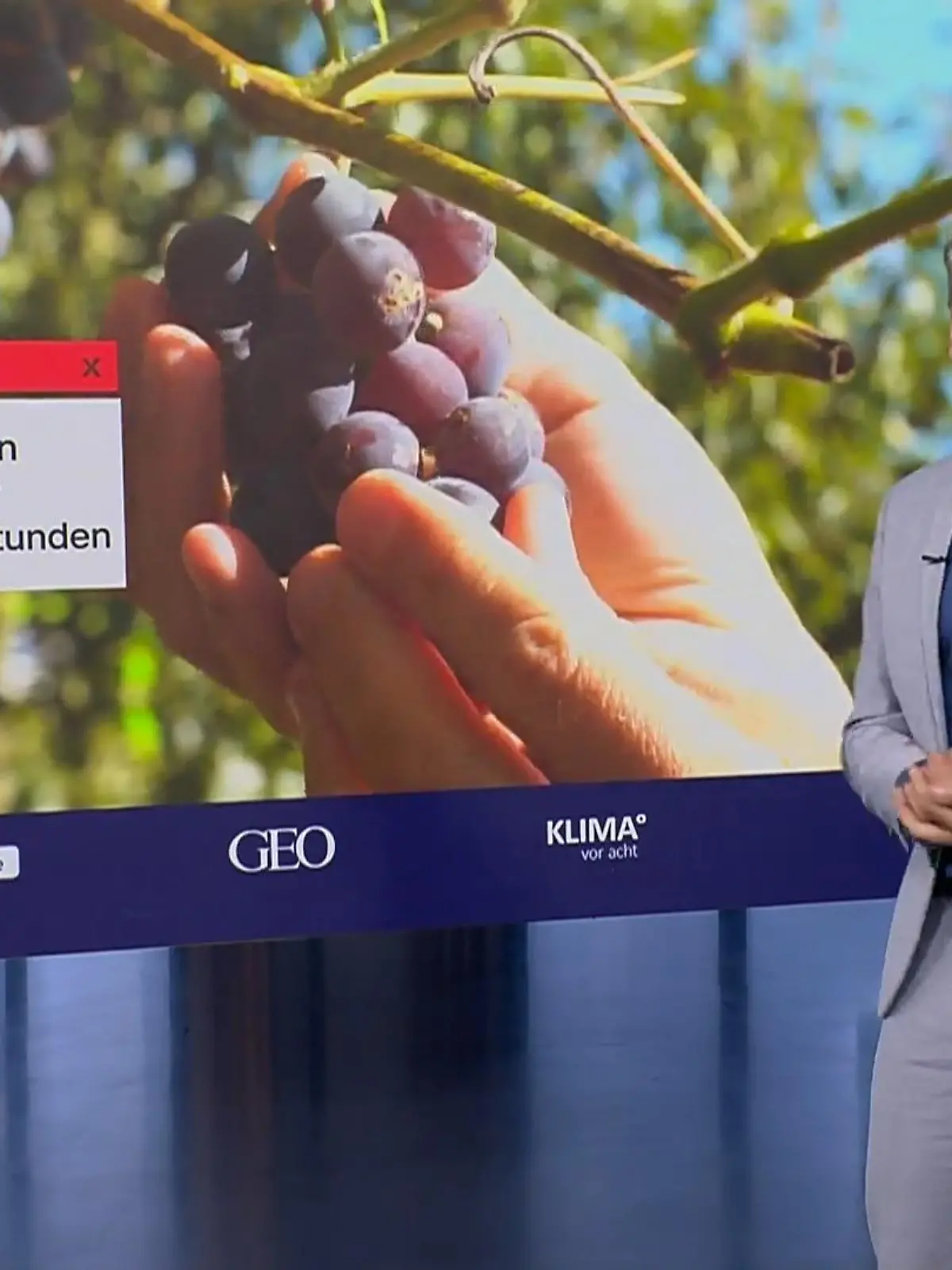 Bild zu: "Klimawandel bringt den deutschen Winzern Probleme"