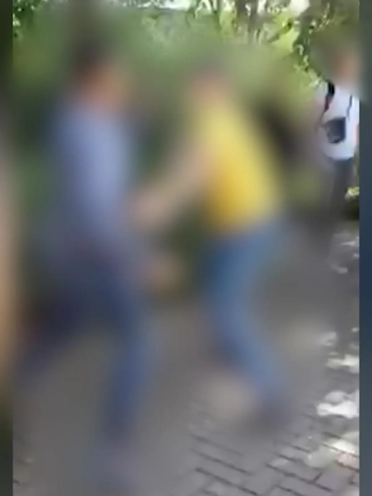 Bild zu: "Video zeigt brutale Schulhof-Prügelei"