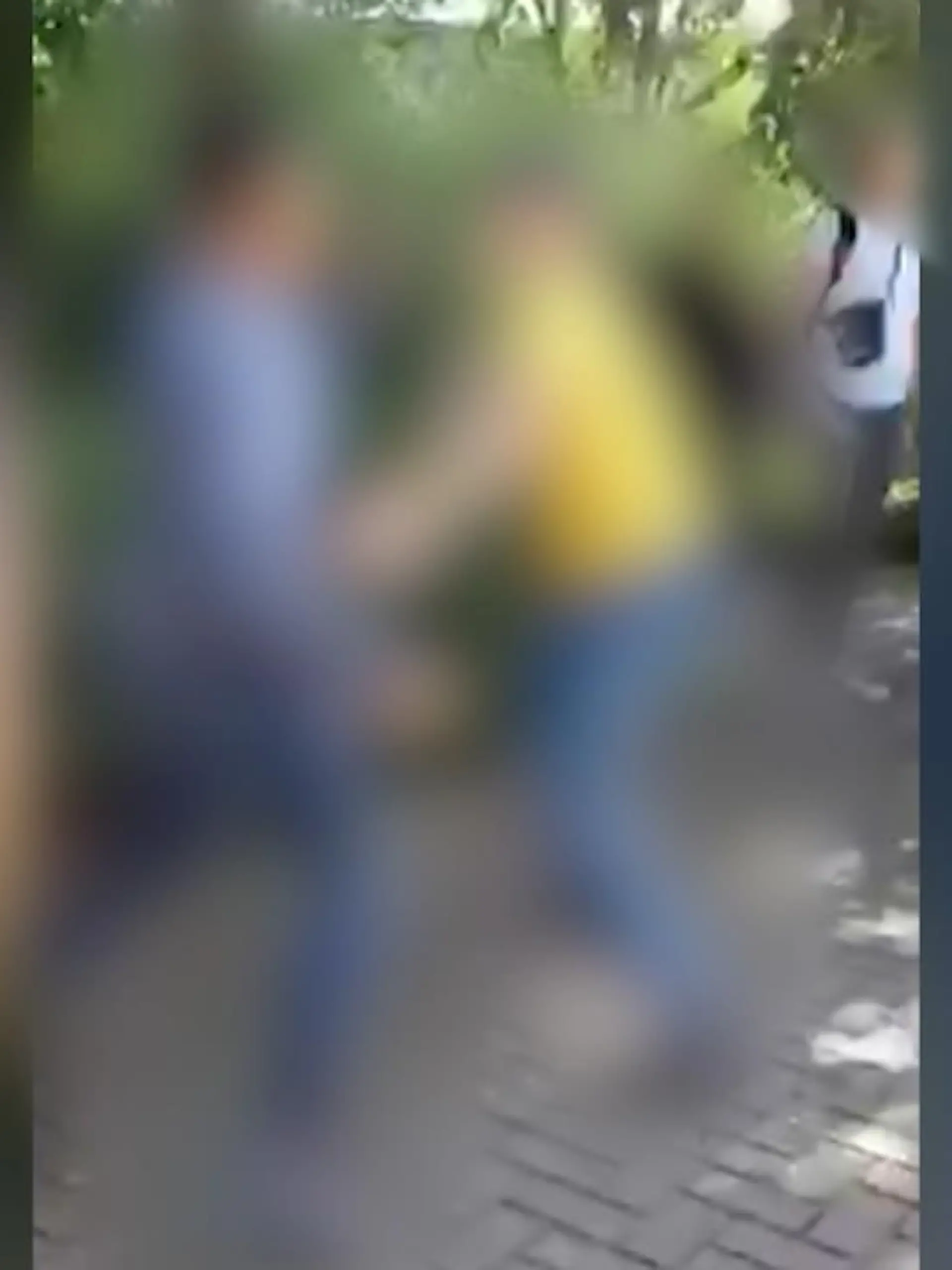Bild zu: "Video zeigt brutale Schulhof-Prügelei"