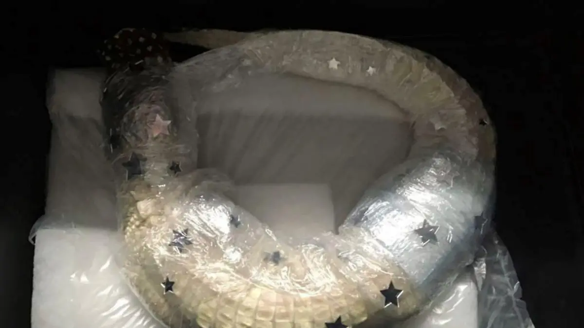 Ein lebendes Albino-Krokodil, eingeschweißt in Folie,  wurde vom Zoll beschlagnahmt.