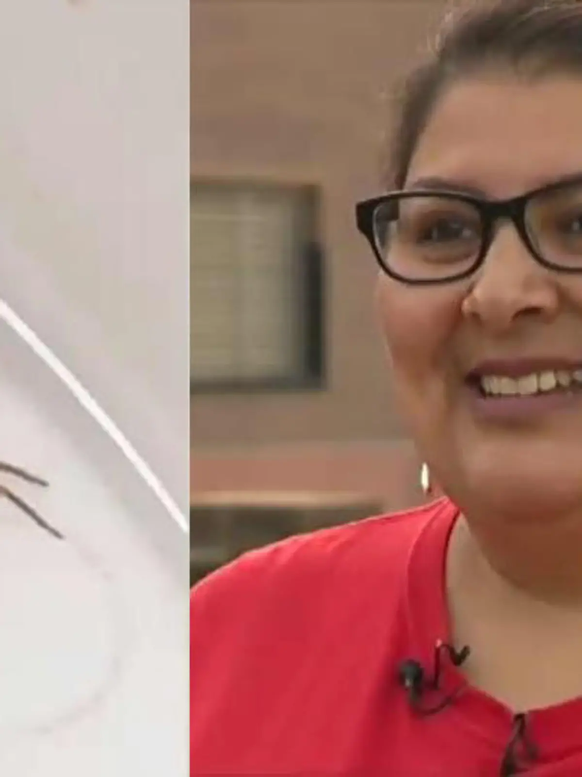 Susie Torres Spinne im Ohr